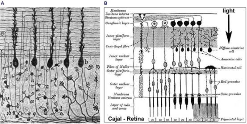 figure1.5